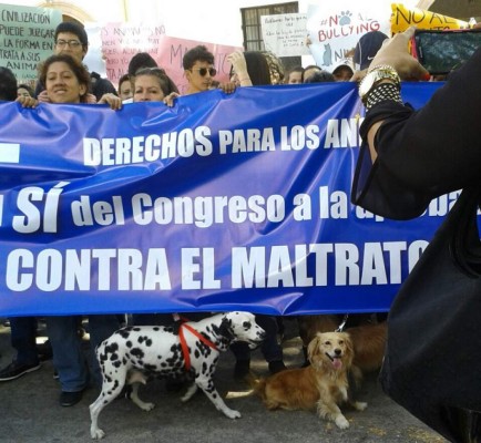 Honduras: Exigen aprobación de ley contra maltrato animal