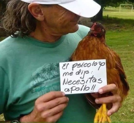 Los mejores catrachistes de la semana