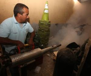 El vector será atacado con fumigaciones, abate y jornadas de limpieza.