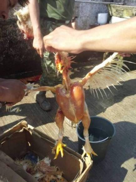 Los mejores memes que dejó el triunfo de Olimpia sobre Motagua