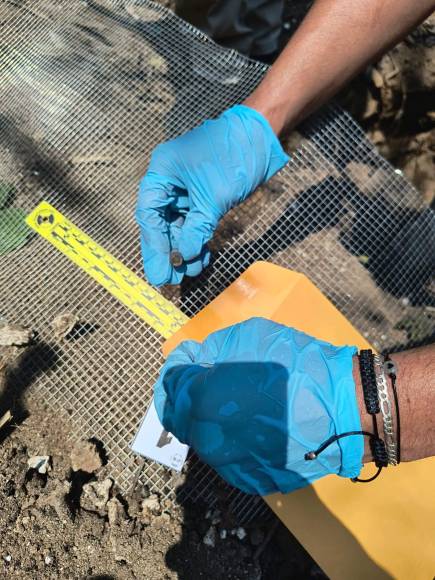 Las imágenes del cementerio clandestino encontrado en Lomas del Carmen, SPS