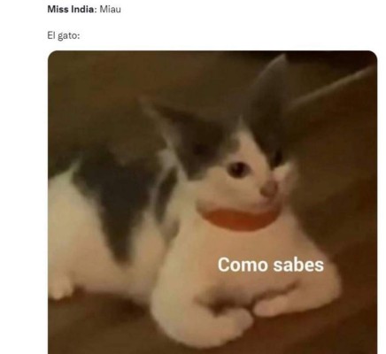 Memes que dejó el 'miau' de Harnaaz Sandhu en ceremonia de Miss Universo
