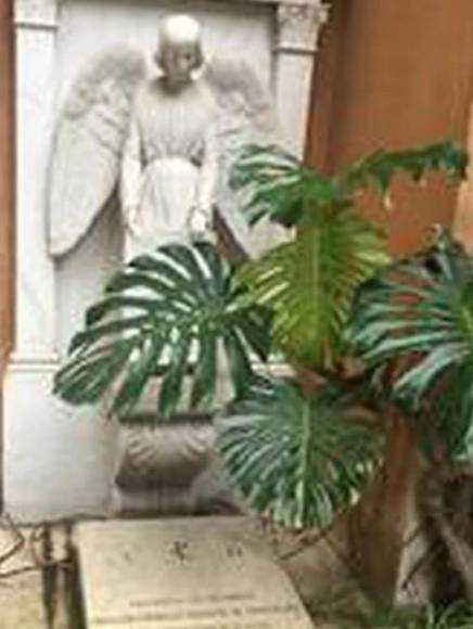 Emanuela Orlandi, la menor que desapareció en el Vaticano sin dejar rastro