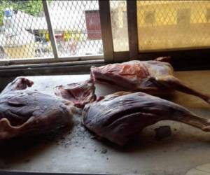 Las extremidas de supuestos perros fueron halladas por elementos de la Fiscalía de Honduras en un operativo en un restaurante de comida china en la capital, foto: Cortesía Ministerio Público.