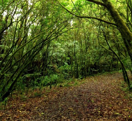 Centros de recreación a la espera de la aprobación de su reapertura en la capital de Honduras
