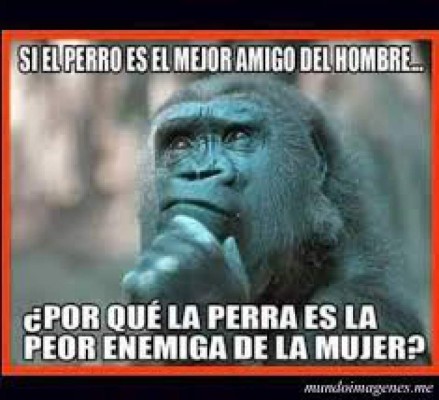 Llegó el momento de buen humor de la semana