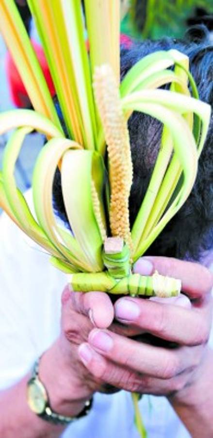 Que Jesucristo entre triunfal a la Jerusalén de la vida de todos