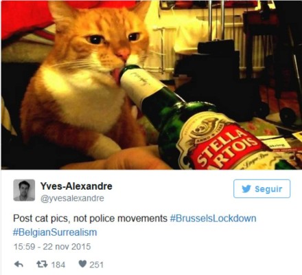 Usan gatos para atraer turistas a Bruselas