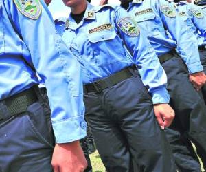 Desde mayo de 2012 se ha buscado sanear la policía y hasta este año se ven resultados.