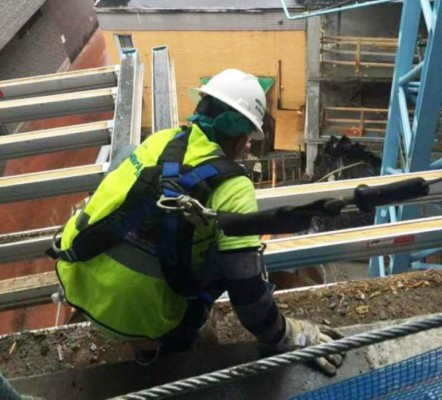 EL HERALDO muestra cómo trabajan los hondureños en el exterior