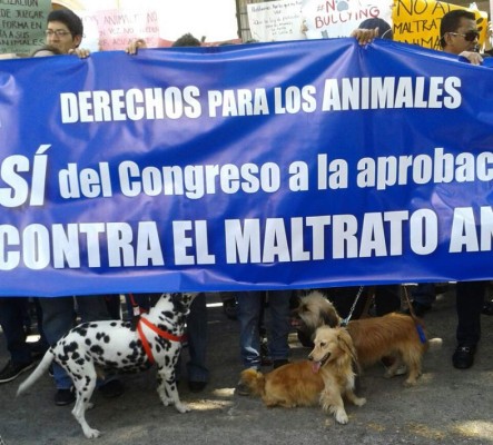Honduras: Exigen aprobación de ley contra maltrato animal