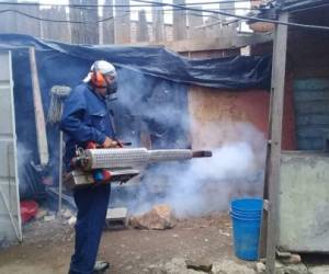 Las autoridades de la Región Metropolitana de Salud organizan operativos de fumigación en las zonas en las que se identifica la presencia del mosquito adulto.