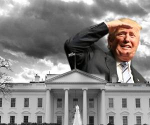 El vocero interino del Departamento de Estado, Mark Toner, confirmó este lunes que un número aún no revelado de diplomáticos estadounidenses preparan una protesta contra el decreto sobre inmigración firmado el viernes por el presidente Donald Trump.