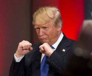 Ante la aceptación de muchos y el temor de otra gran parte, Donald Trump le ganó la Casa Blanca a Hillary Clinton.