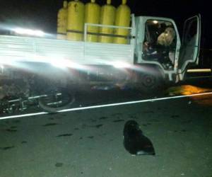 El accidente vial se registró en el kilómetro 36 de la carretera al norte, a inmediaciones del parque Aurora.