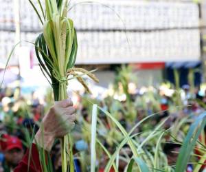 ¿Por qué se llama así?, ¿qué representa?, ¿por qué se celebra? A continuación te contamos los detalles sobre la celebración que conmemora el inicio de la Semana Santa en el mundo.