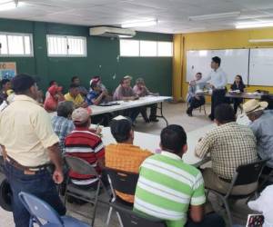 Los productores conocieron la iniciativa de parte de empresarios taiwaneses.