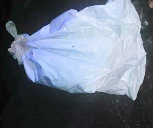 Los parientes retiraron ayer los cuerpos de la morgue móvil del Ministerio Público, en Tocoa.