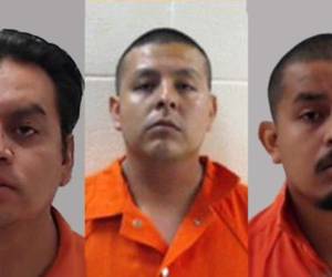 Los hermanos Luna son acusados de crimen organizado y homicidio.