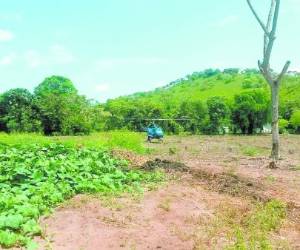 Las propiedades incautadas están en Copán y Santa Bárbara.