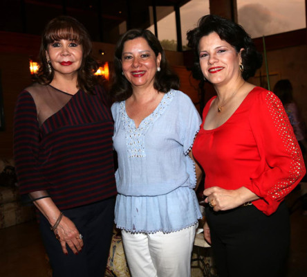 Exposición Jardineras sin Límites