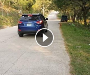 Los autores de la grabación muestran la pendiente hacia abajo en el camino a El Volcán de Comayagua, zona central de Honduras. Un conductor se posiciona a mitad del tramo y deja el automóvil en neutral, sin freno y en dirección hacia abajo. Es cuando se muestra que el vehículo parece ascender de reversa, contrario a lo que se pensaría que descendería a favor de la cuesta.