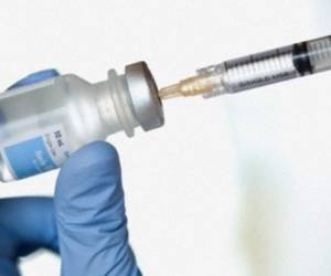 Inyectaron en los monos una dosis de virus Ébola, que habría sido mortal si no hubieran sido inmunizados previamente.