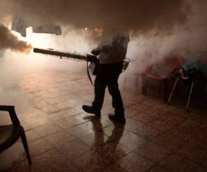 Este virus puede provocar una malformación congénita, la microcefalia, así como una grave enfermedad neurológica conocida como el síndrome de Guillain-Barré. Ambas son potencialmente mortales.