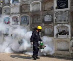 El virus ya está presente en 21 de los 55 países y territorios de las Américas, indicó la OMS en un comunicado.