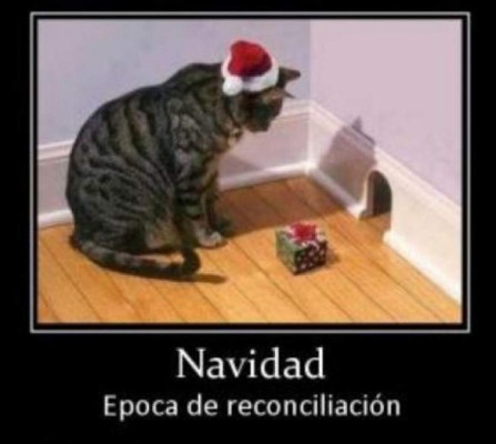 ¡A reír! Divertidos memes inundan las redes para darle la bienvenida a la Navidad 2017