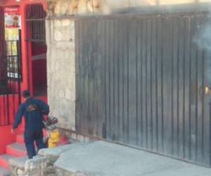 Este jueves las acciones contra el Aedes aegypti se llevan a cabo en 24 colonias, donde se fumigarán aproximadamente 5,000 viviendas.