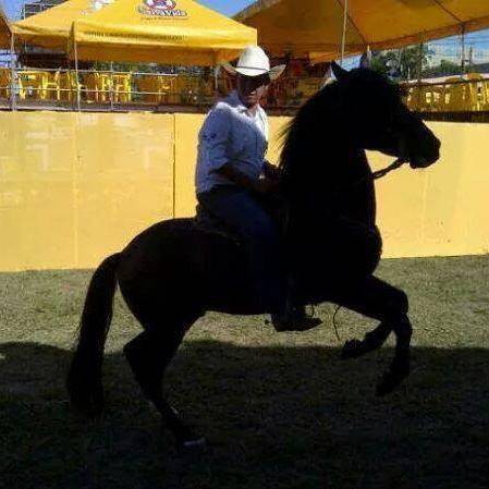 “Juticalpa se volvió Tijuana”: pobladores lamentan ola de muertes en Olancho