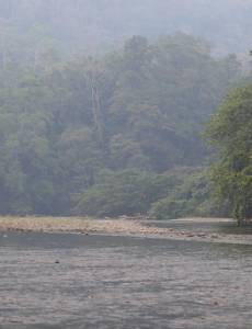 La Unidad Investigativa de EL HERALDO Pius visitó la Reserva de la Biosfera del Río Plátano encontrando severos daños por la deforestación
