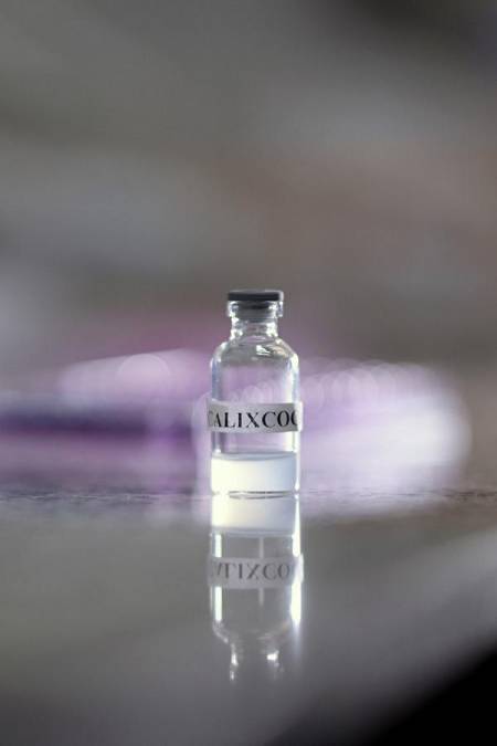 Calixcoca, la vacuna que busca inhibir efectos de la cocaína y crack