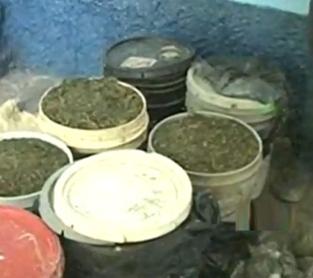 VIDEO: Capturan al 'Chapo' Guzmán hondureño