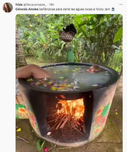 Los divertidos memes que dejó la brujería de Génesis Aleska a Nicky Jam