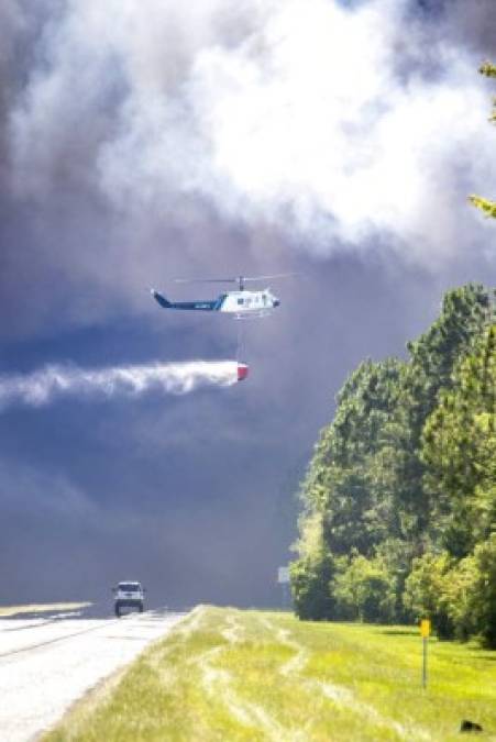 Impactantes imágenes de los devastadores incendios forestales en Florida