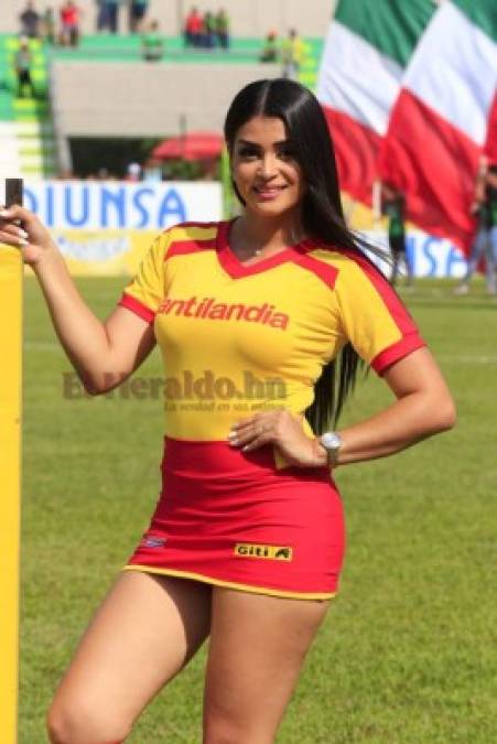 FOTOS: Ellas son las hermosas catrachas presentes en el Yankel en la jornada 13