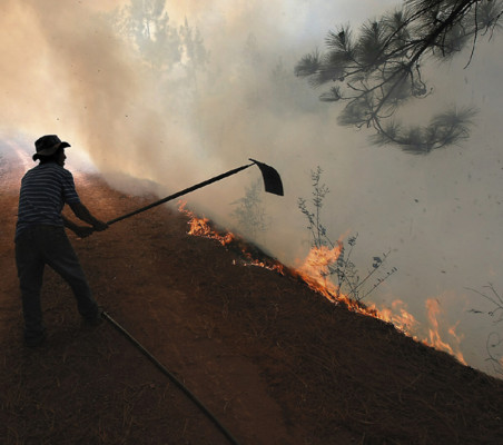 Más de 90 mil hectáreas de bosque destruyeron incendios en Honduras este 2011
