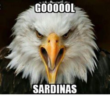 Divertidos memes celebran el triunfo de Motagua ¡tienen la 14!