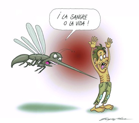 El dengue contraataca