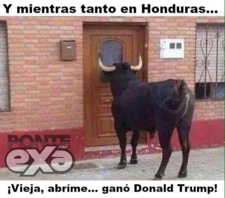 Divertidos memes por el triunfo de Donald Trump