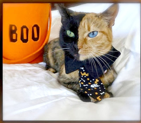 15 impactantes imágenes que desafían la lógica