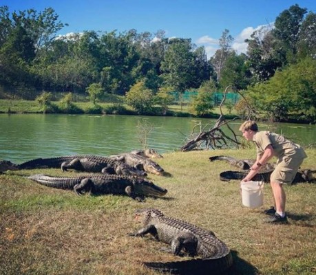 20 fotos que demuestran el increíble parecido entre Robert Irwin y su padre