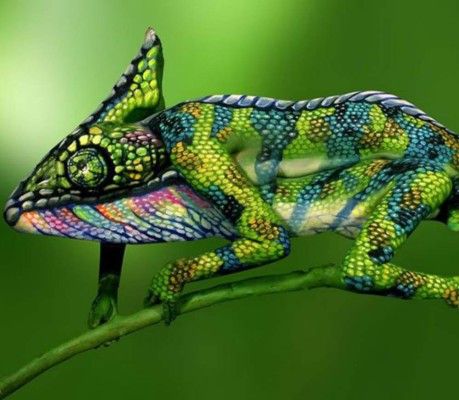 Sorpresiva pintura de un camaleón