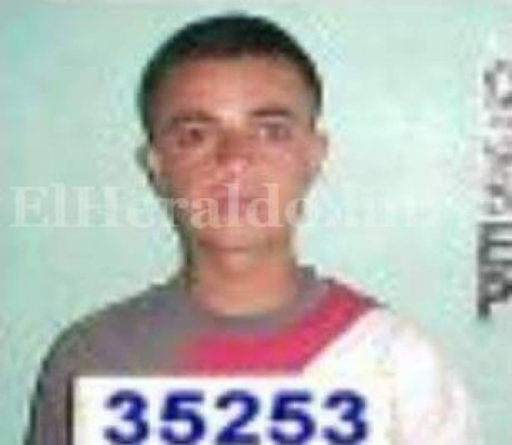 Matanzas y asesinatos cometieron pandilleros fugados de Támara