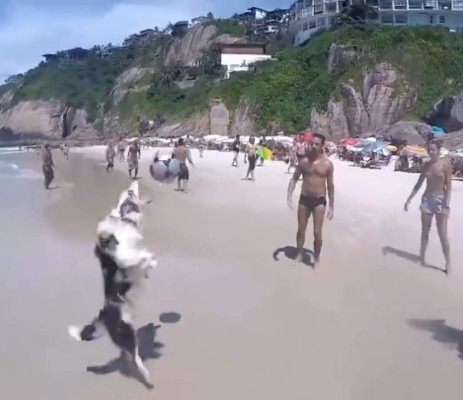 Perro mueve las redes sociales por su destreza con el balón de fútbol