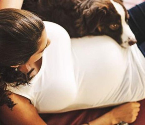 Mascotas en el embarazo