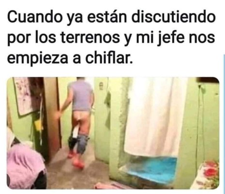 Los divertidos memes que desataron las peleas de terrenos en Navidad&nbsp;&nbsp;