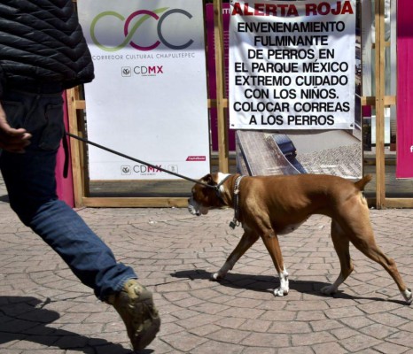 Policía investiga misterioso caso de 'mataperros'